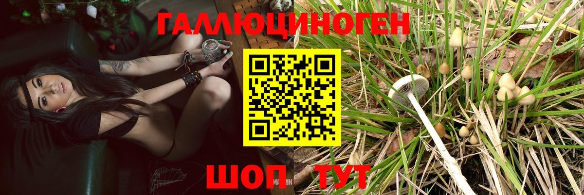 Урюпинск  Псилоцибиновые грибы мухоморы  Вход с VPN  Галлюциногенные грибы Magic Shrooms 